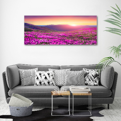 Wandbild Pink Hills