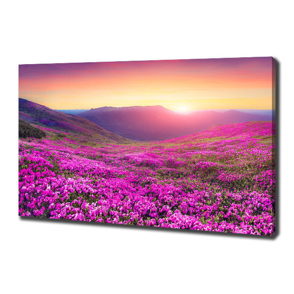 Wandbild Pink Hills