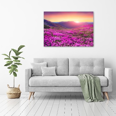 Wandbild Pink Hills