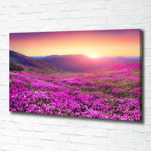 Wandbild Pink Hills