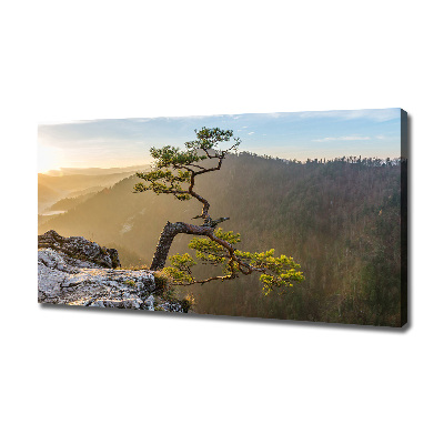 Wandbild Sokolica Pieniny