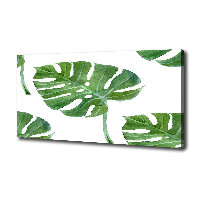Bild auf leinwand Monstera