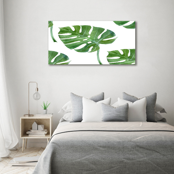 Bild auf leinwand Monstera