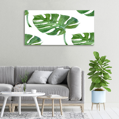 Bild auf leinwand Monstera