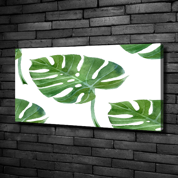 Bild auf leinwand Monstera