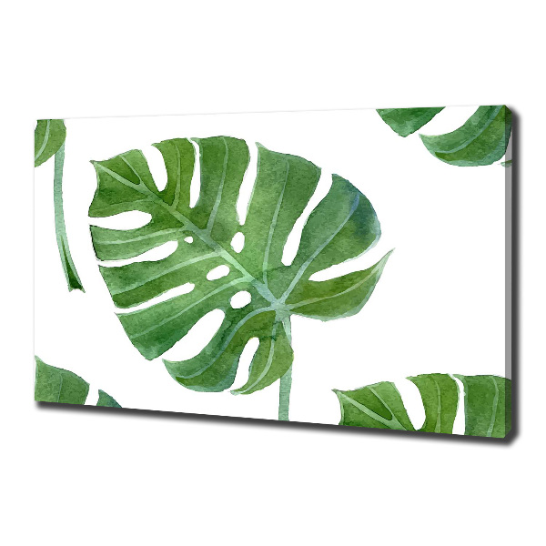 Bild auf leinwand Monstera