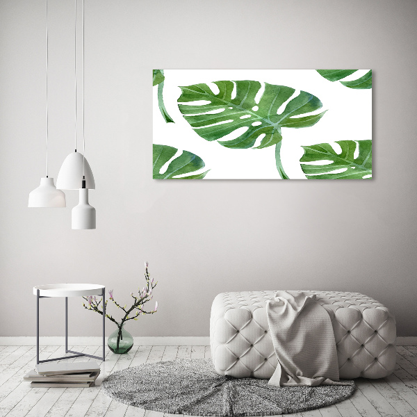 Bild auf leinwand Monstera