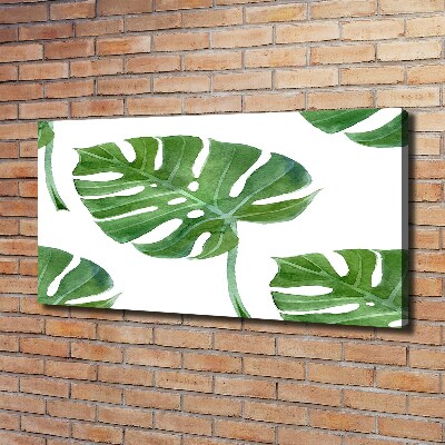 Bild auf leinwand Monstera