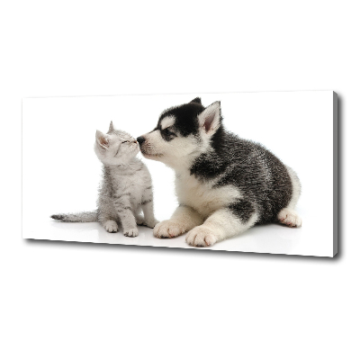 Wandbild Hund und Katze
