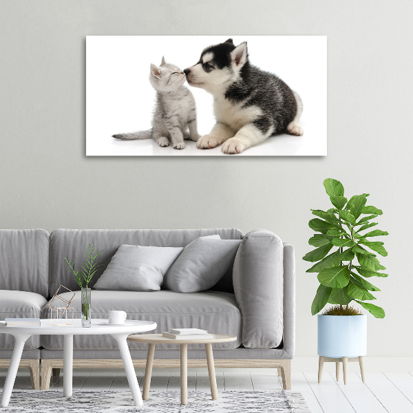 Wandbild Hund und Katze