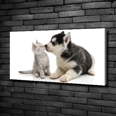 Wandbild Hund und Katze