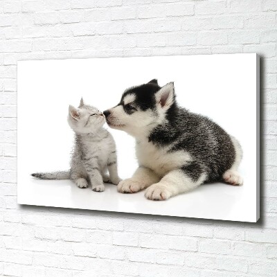 Wandbild Hund und Katze