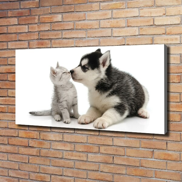 Wandbild Hund und Katze