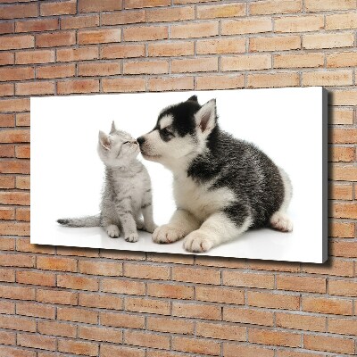 Wandbild Hund und Katze