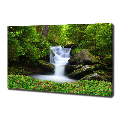 Bild auf leinwand Wasserfall im Wald