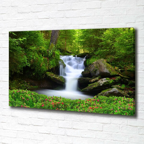Bild auf leinwand Wasserfall im Wald