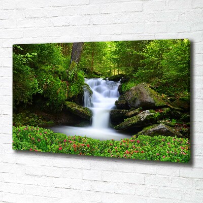 Bild auf leinwand Wasserfall im Wald