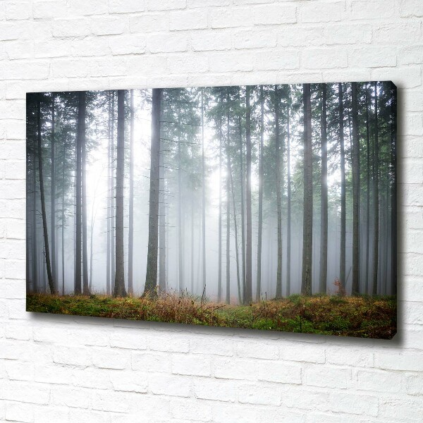 Fotobild Nebel im Wald