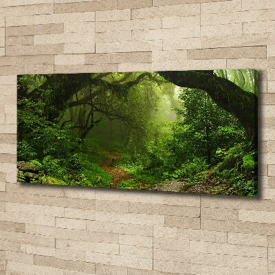 Fotobild Dschungel in Nepal