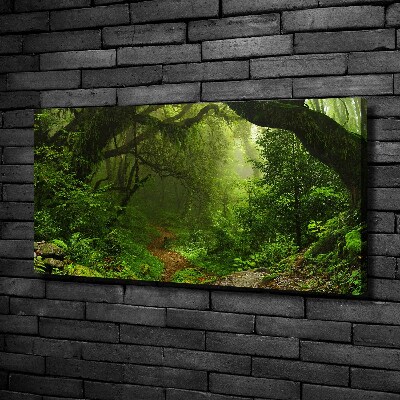 Fotobild Dschungel in Nepal