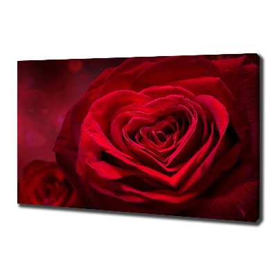Fotobild Herz aus roter Rose