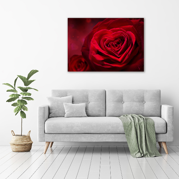Fotobild Herz aus roter Rose