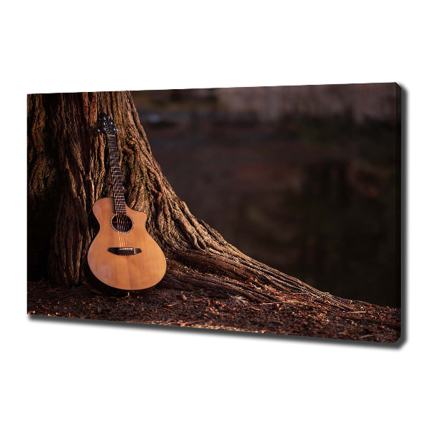 Fotobild Akustikgitarre