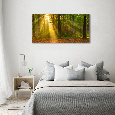 Bild auf leinwand Wald in der Sonne