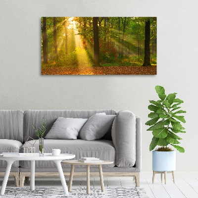 Bild auf leinwand Wald in der Sonne
