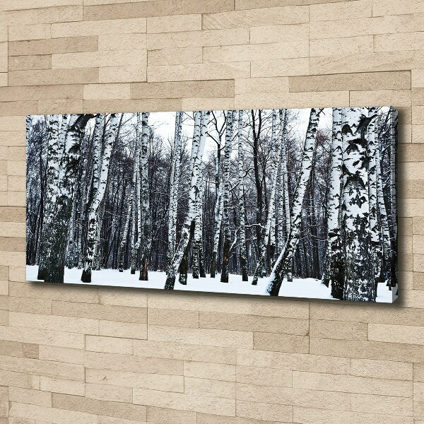 Bild auf leinwand Birken im Winter