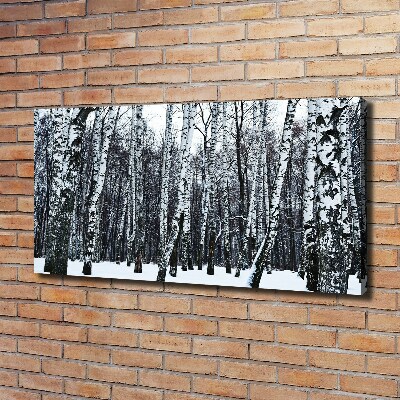 Bild auf leinwand Birken im Winter