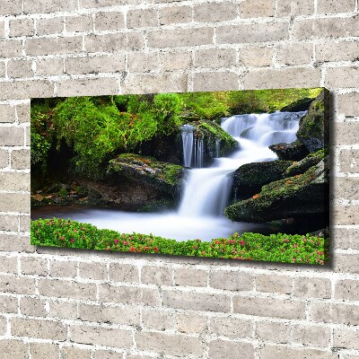Wandbild Wasserfall im Wald