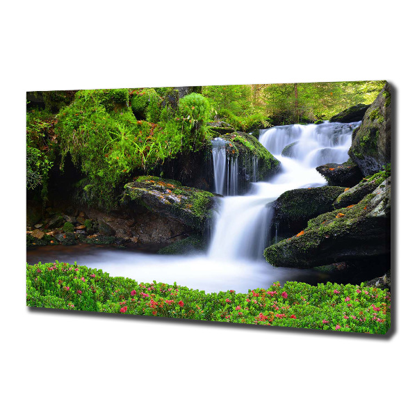 Wandbild Wasserfall im Wald