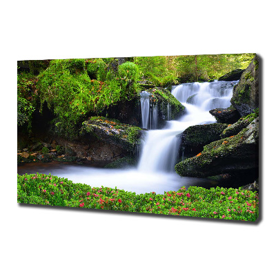 Wandbild Wasserfall im Wald
