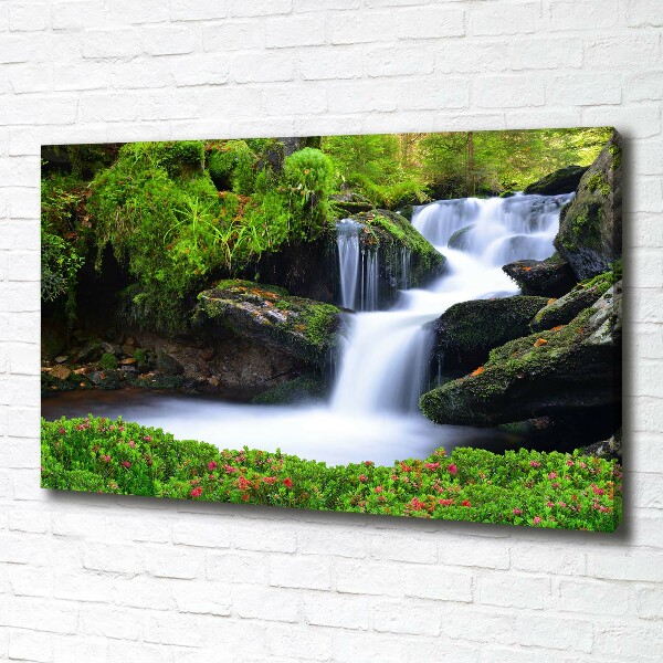 Wandbild Wasserfall im Wald