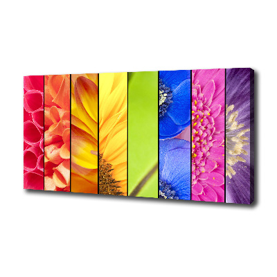 Bild auf leinwand Bunte Blumen