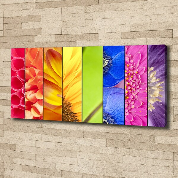 Bild auf leinwand Bunte Blumen