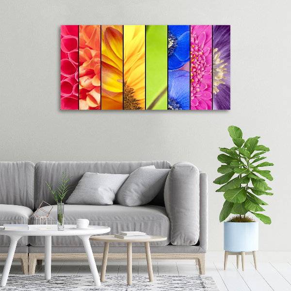 Bild auf leinwand Bunte Blumen