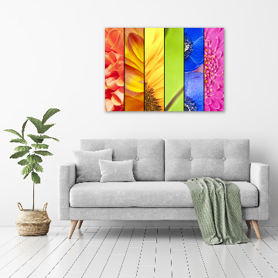 Bild auf leinwand Bunte Blumen