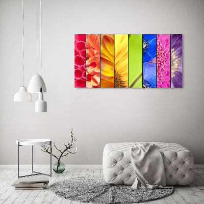 Bild auf leinwand Bunte Blumen