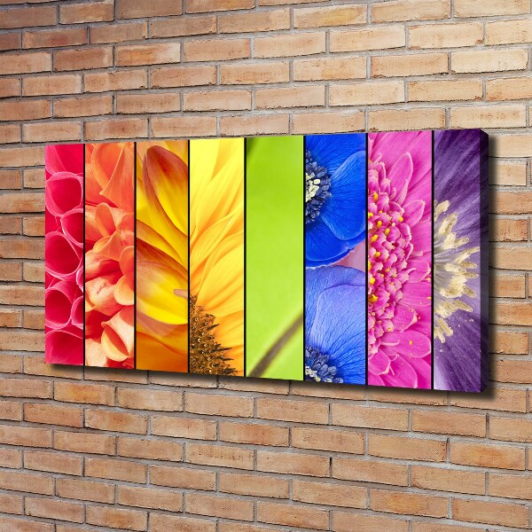 Bild auf leinwand Bunte Blumen