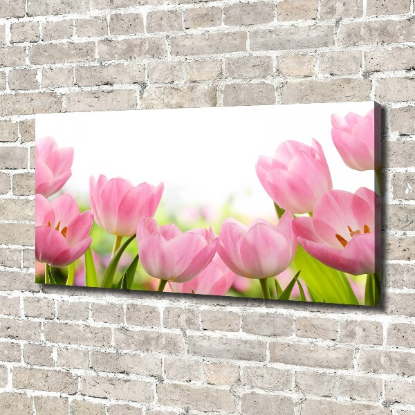 Wandbild Rosa Tulpen