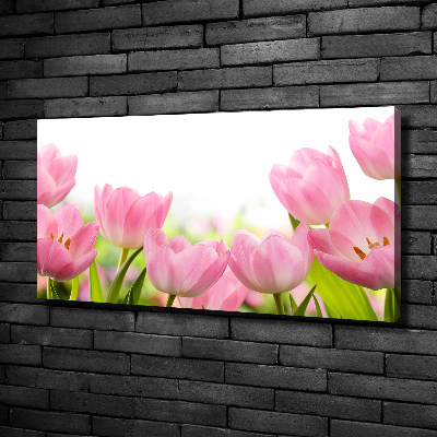 Wandbild Rosa Tulpen