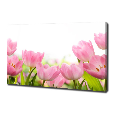Wandbild Rosa Tulpen