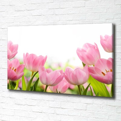 Wandbild Rosa Tulpen