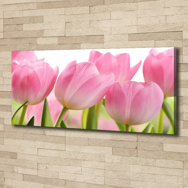 Fotobild Rosa Tulpen