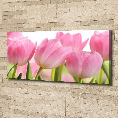 Fotobild Rosa Tulpen