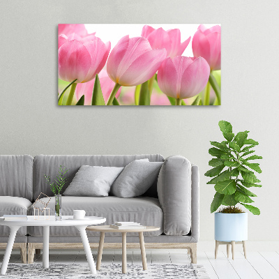 Fotobild Rosa Tulpen