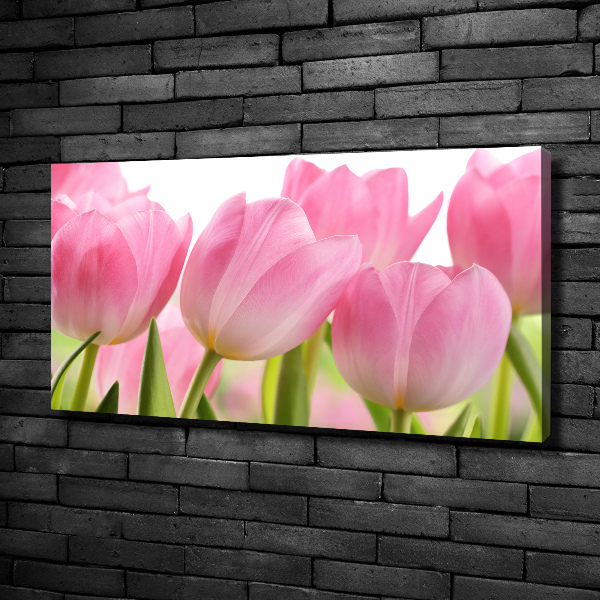 Fotobild Rosa Tulpen