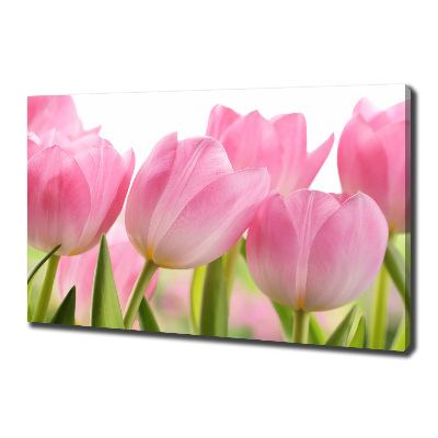 Fotobild Rosa Tulpen